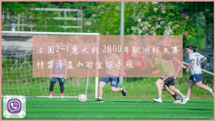 法国2-1意大利 2000年欧洲杯决赛特雷泽盖加时金球夺冠