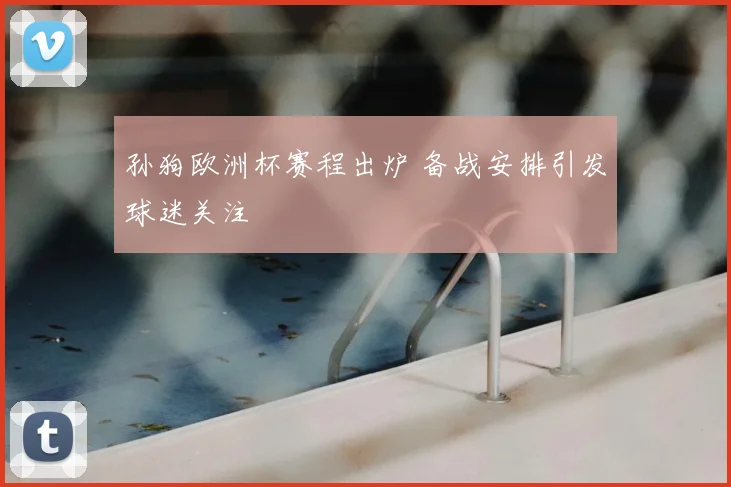 孙狗欧洲杯赛程出炉 备战安排引发球迷关注