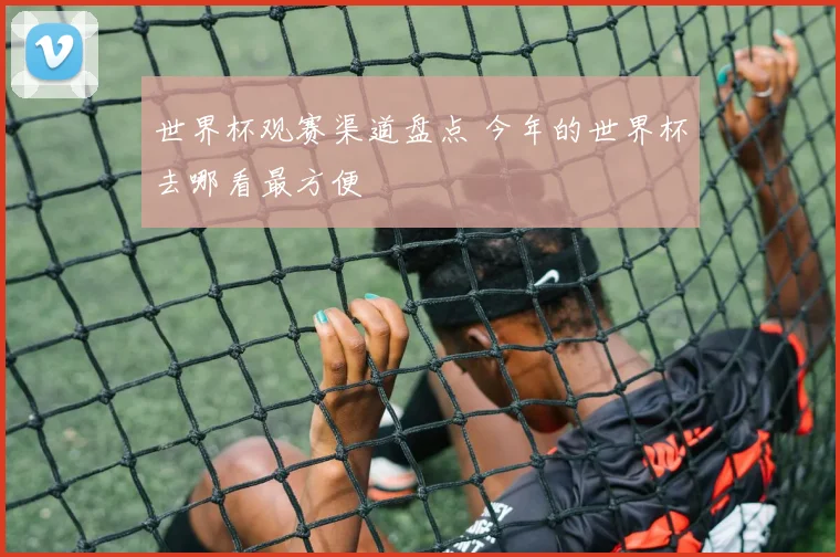 世界杯观赛渠道盘点 今年的世界杯去哪看最方便