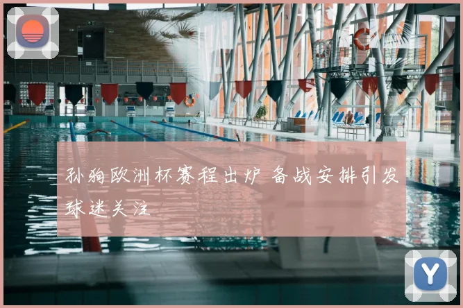 孙狗欧洲杯赛程出炉 备战安排引发球迷关注